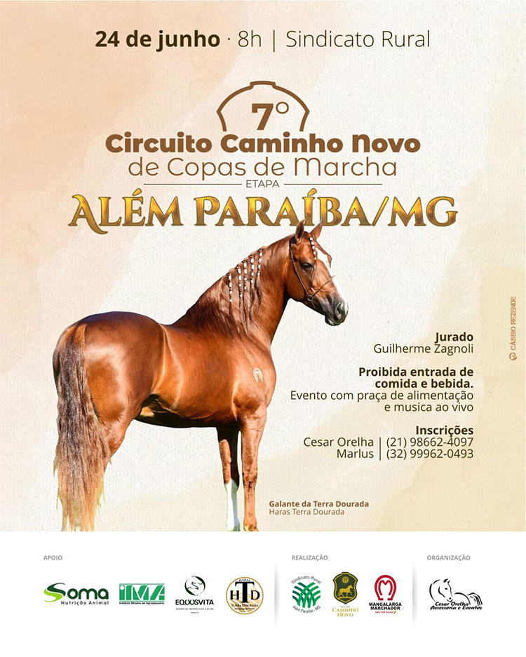 7º Circuito Caminho Novo de Copas de Marcha, etapa Além Paraíba