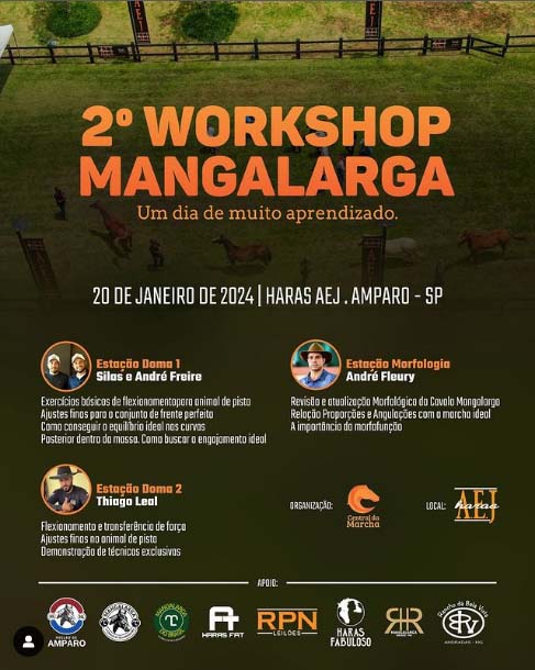 2º Workshop Mangalarga no Haras AEJ em Amparo (SP)