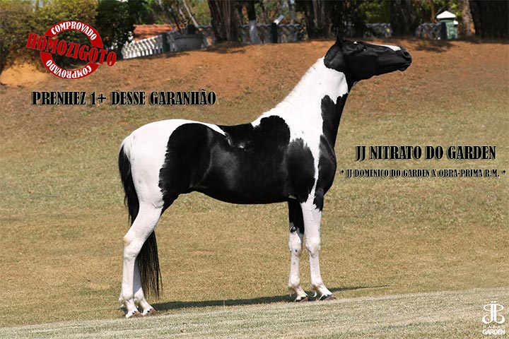 LUOA 7