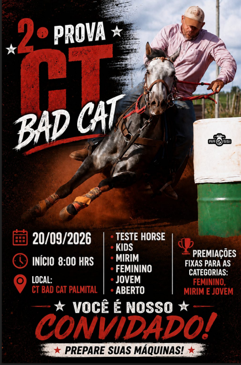 CT Bad Cat