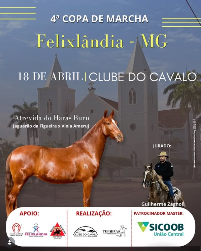 4ª Copa de Marcha do Cavalo Mangalarga Marchador! em Felixlândia (MG)
