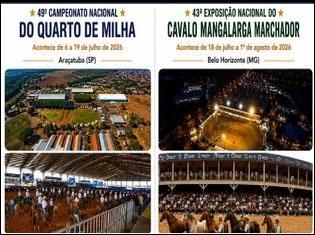 Nacional Quarto de Milha e Mangalarga Marchador