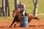 Luke Leo Flit - cavalo quarto de milha de três tambores a venda