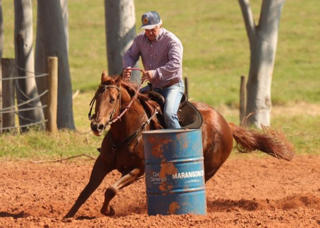 Luke Leo Flit - cavalo quarto de milha de três tambores a venda