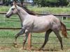 Dee Jay Flying AB - macho - 23/02/2020 - FABULOUS FLING x FAME DEE JAY, MR TA FAME