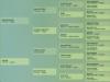 Adele Perks Moon quarto de milha venda N1Cavalos femea